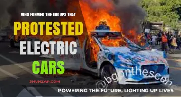 Who Formed the Groups Protesting Electric Cars and Why?