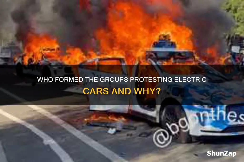 who formed the groups that protested electric cars