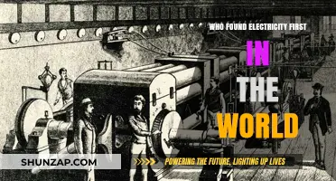 The First Electric Pioneers: A Historical Perspective