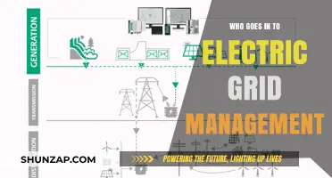 The Electric Grid: Who Controls the Power?
