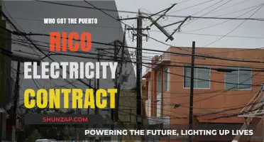 Puerto Rico Electricity Contract: Who Won the Bid?