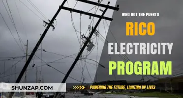 Puerto Rico's Electricity Program: Who Benefits?