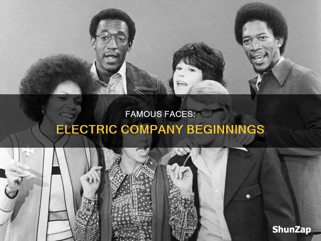 who got their start on the electric company