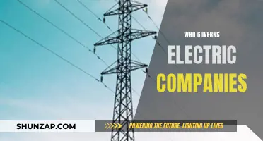 Unraveling the Web of Electric Company Governance