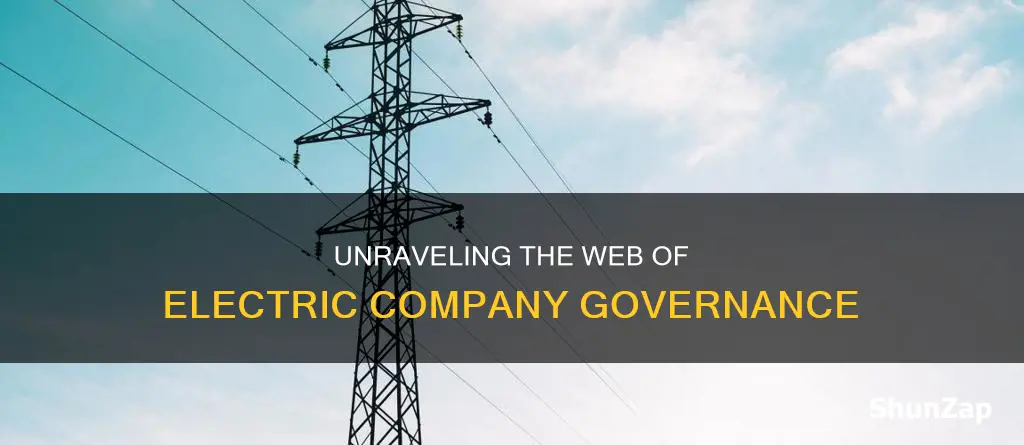 who governs electric companies