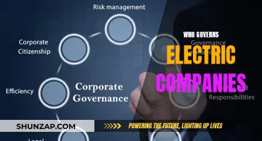 Who Controls Electric Companies: A Governance Overview