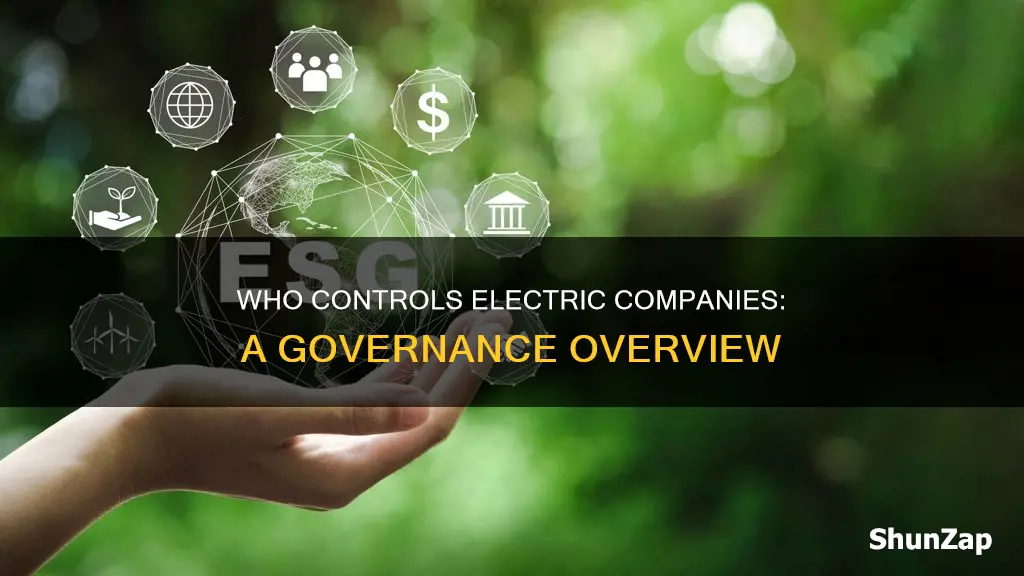 who governs electric companies