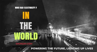 The First Spark: Who Illuminated the World?