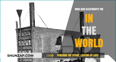 Electricity's First Spark: A Historical Perspective