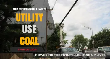 Naperville's Electric Utility: A History of Coal-Powered Energy Use