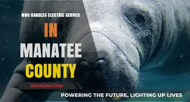 Electric Service in Manatee County: Who's Responsible?