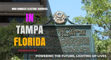 Electric Services in Tampa: Who's Responsible?