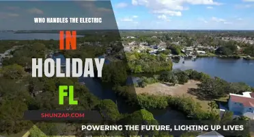 Electricians in Holiday, FL: Who's Responsible?