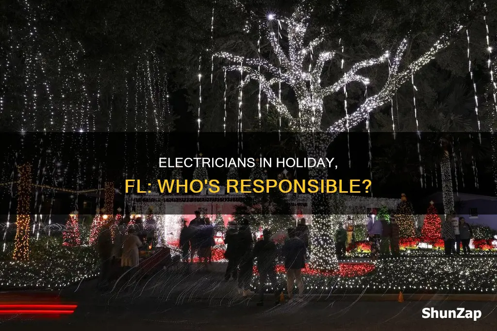 who handles the electric in holiday fl