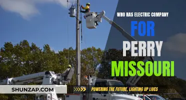 Electricity Providers in Perry, Missouri: A Comprehensive Guide