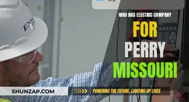 Electric Company Options for Perry, Missouri Residents