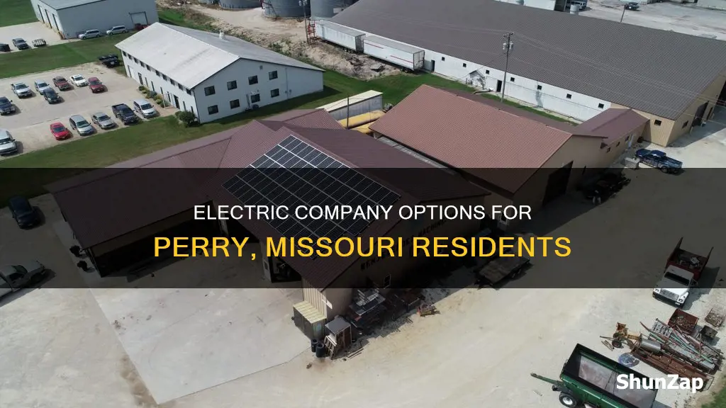 who has electric company for perry missouri