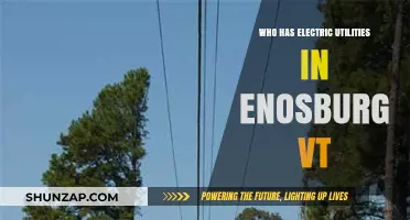 Enosburg's Electric Utilities: Who's in Control?