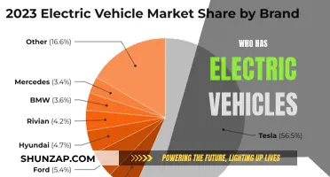 Electric Revolution: Who's Driving the Future?