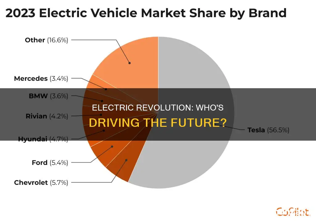 who has electric vehicles