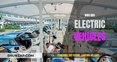 Electric Vehicle Revolution: Who's Leading the Charge?