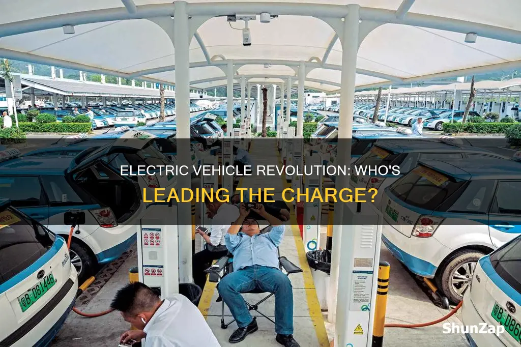 who has electric vehicles