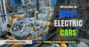 Leading the Charge: Which Automaker Dominates Electric Vehicle Production?