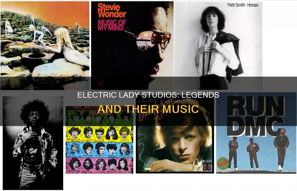 who has recorded at electric lady studios