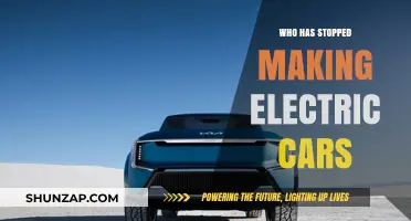 Brands That Have Halted Electric Vehicle Production: Surprising Shifts in the EV Market