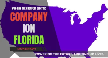 Electricity Savings: Florida's Cheapest Power Providers Revealed