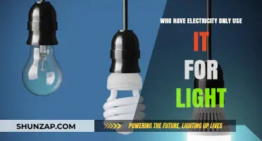 Electricity's Limited Use: Why Some Only Light Up Their Lives