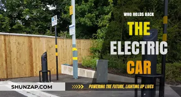 Who Holds Back the Electric Car: Barriers to Widespread Adoption