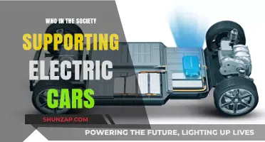 Who's Driving the Shift: Society's Key Supporters of Electric Cars