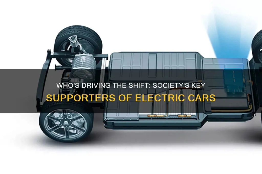 who in the society supporting electric cars