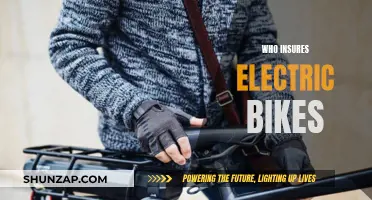 Electric Bike Insurance: Who Offers Coverage?