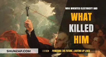 The Electric Pioneer's Shocking End
