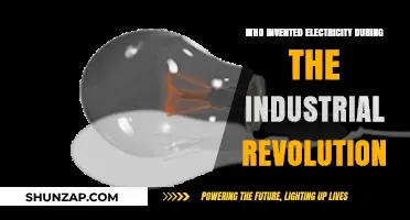The Industrial Revolution's Electric Innovators