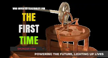 The First Spark: Who Ignited Electricity?
