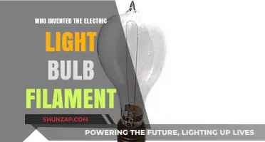 The Evolution of Light: Edison's Filament Invention