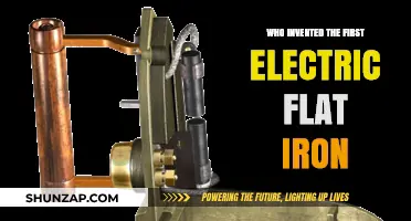 The Evolution of Electric Flat Irons: A Historical Overview