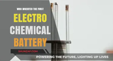 The First Electro-Chemical Battery: Who Made It Possible?