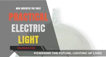 The Electric Light: Who Was the True Inventor?