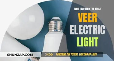 The Veer Electric Light: A Bright Invention's Origin Story