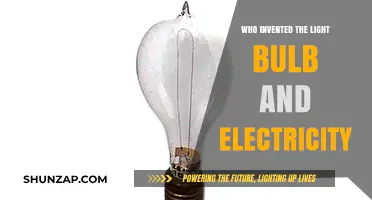 The Evolution of Light: Edison's Bulb and Electricity