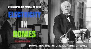 The Pioneers of Power: Who Brought Electricity to Homes?