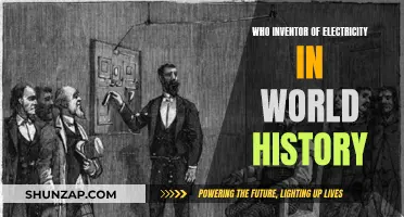 The World's Electric History: Who Started It All?