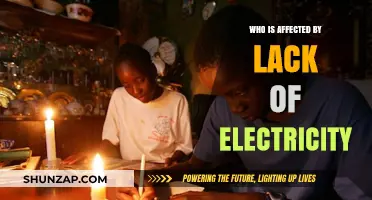 Lack of Electricity: Who Suffers the Most?