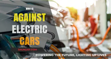 Who Opposes Electric Cars and Why: Uncovering the Resistance
