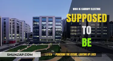 Cardiff Electric: A Real-Life Tech Company?