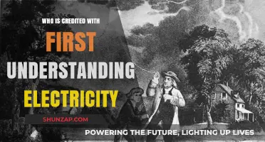 The First Spark: Unveiling Electricity's Pioneer